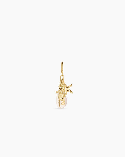 Ocean Cluster Parker Charm