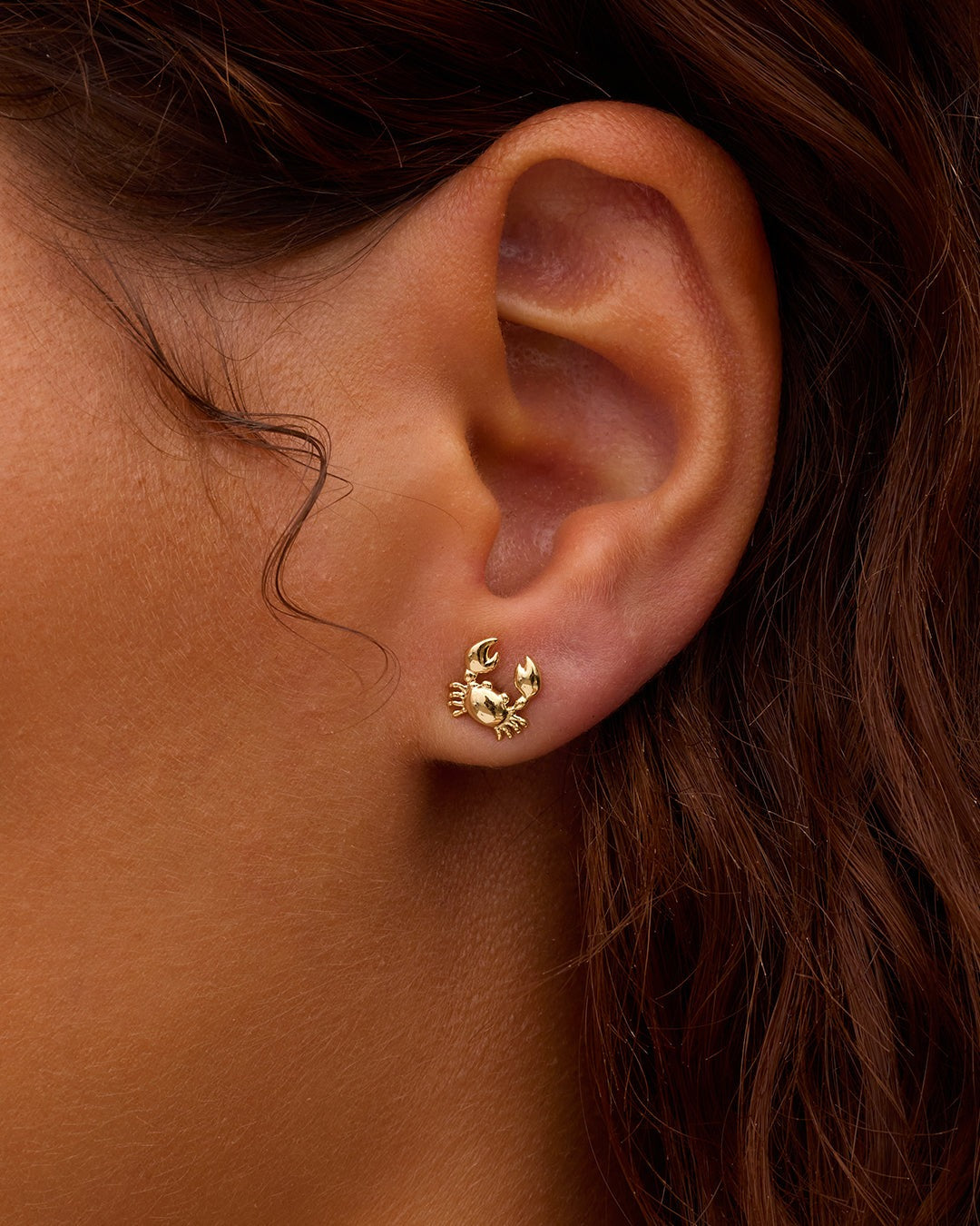 Crab Single Stud