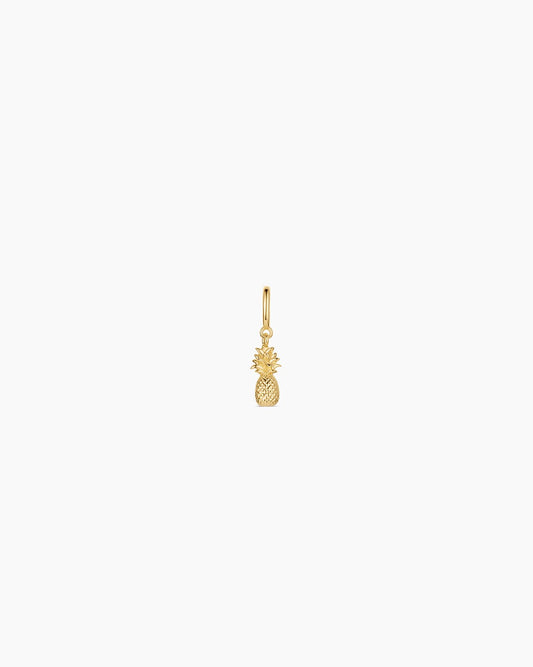Pineapple Parker Charm