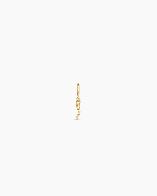 Italian Horn Parker Charm