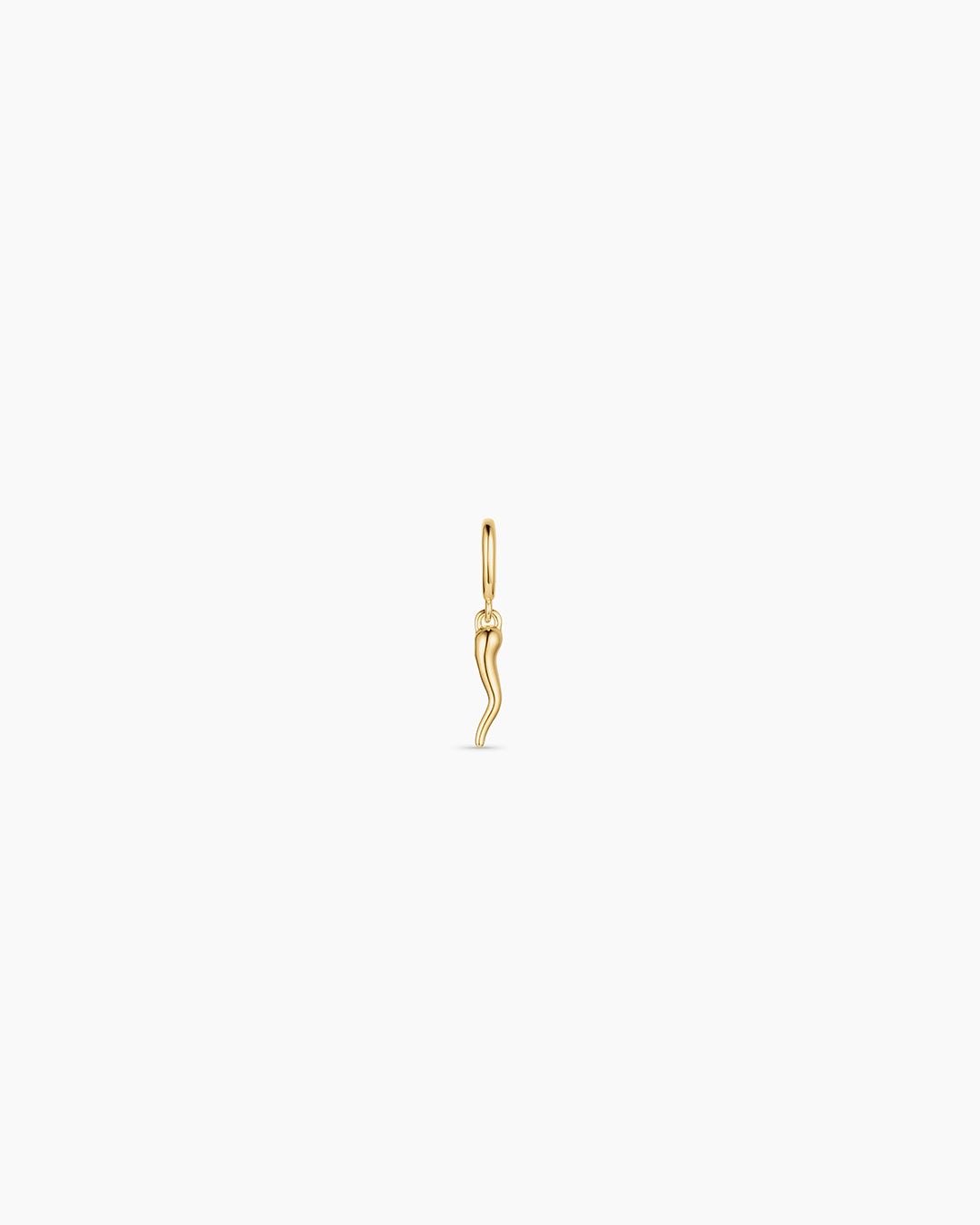 Italian Horn Parker Charm