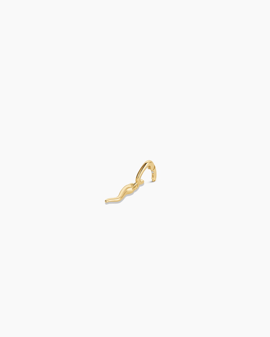 Italian Horn Parker Charm